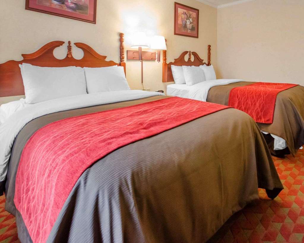 Comfort Inn Bardstown Quarto foto